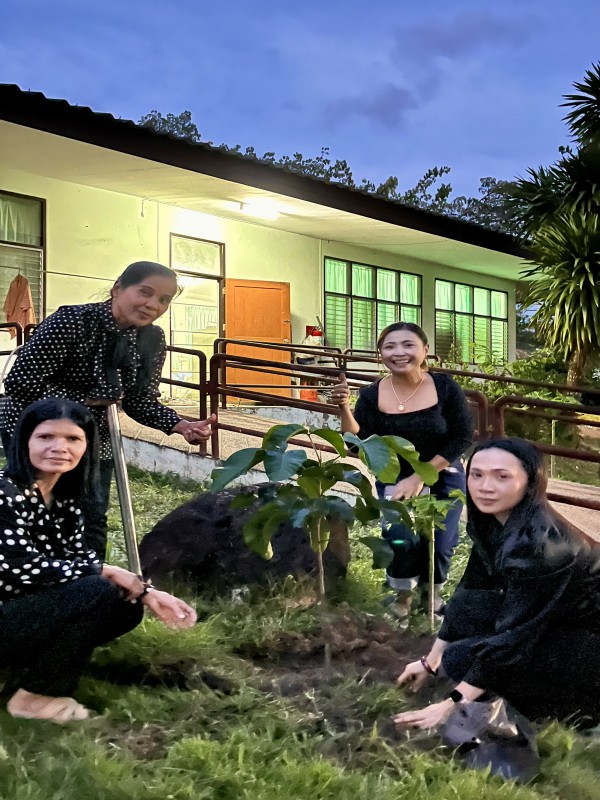 ปลูกต้นไม้ในวันเกิด