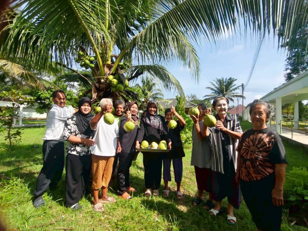 ขนมรสมือยาย : วุ้นกะทิใบเตย วุ้นมะพร้าว