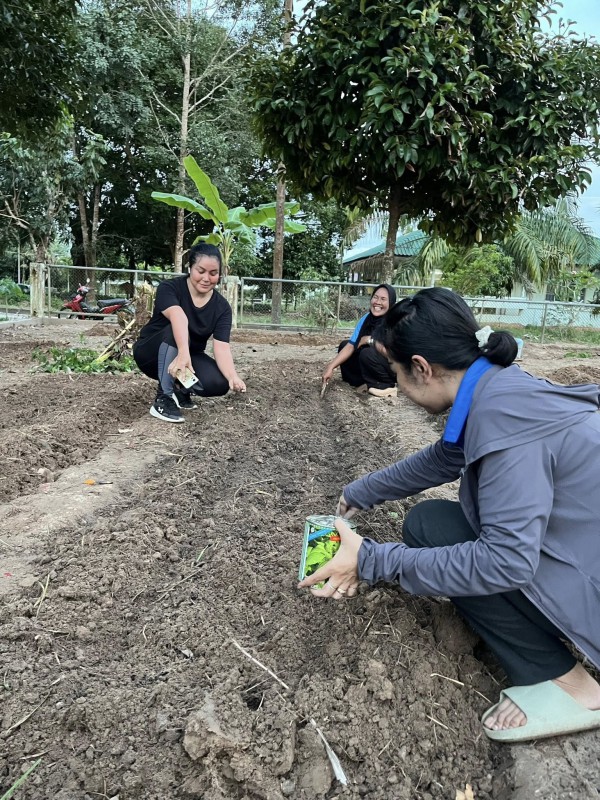 สวนแมงลัก