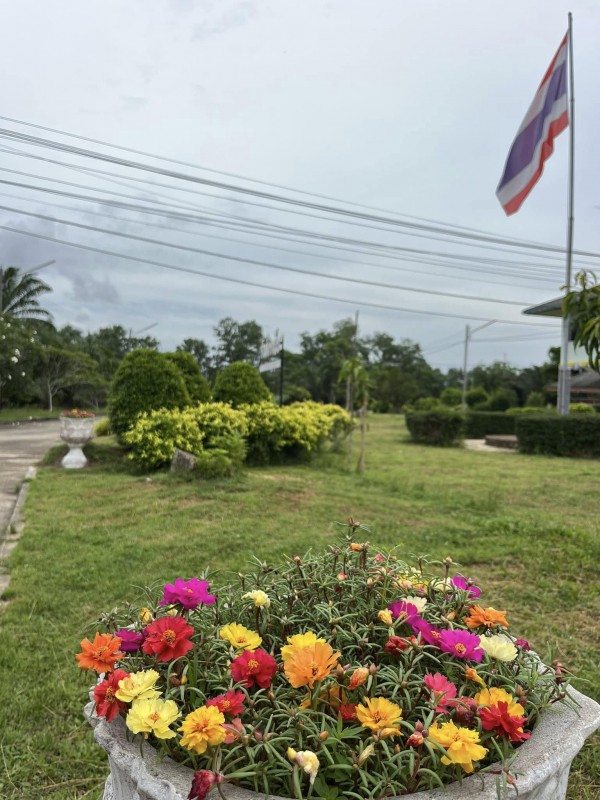 คุณนายตื่นสาย ตื่นแล้วสวย