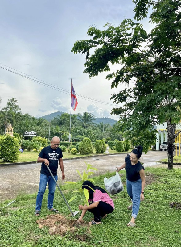 เสาร์สนุก : ปลูกมังคุด และ ลังแข